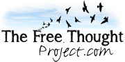 free thought project